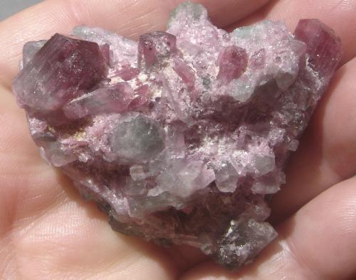 Elbaita (Grupo Turmalina)<br />Parelhas, Caicó, Rio Grande do Norte, Brazil<br />5 x 5,2 x 3 cm<br /> (Autor: Anisio Claudio)