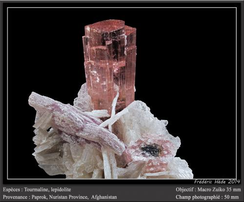 Elbaite (Tourmaline Group)<br />Paprok, Distrito Kamdesh, Provincia Nuristan, Afganistán<br />fov 50 mm<br /> (Author: ploum)