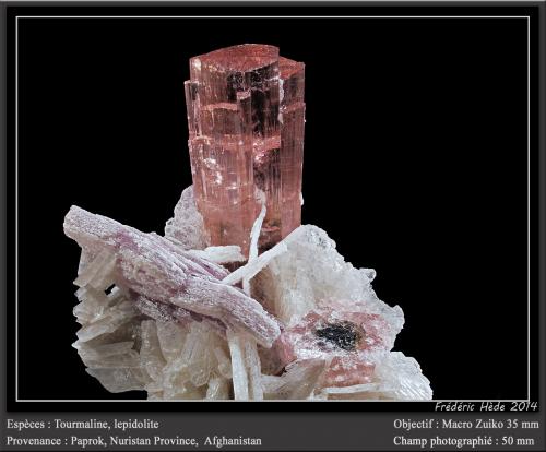 Elbaite (Tourmaline Group)<br />Paprok, Kamdesh District, Nuristan Province, Afghanistan<br />fov 50 mm<br /> (Author: ploum)