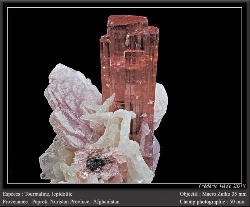 Elbaite (Tourmaline Group)<br />Paprok, Distrito Kamdesh, Provincia Nuristan, Afganistán<br />fov 50 mm<br /> (Author: ploum)