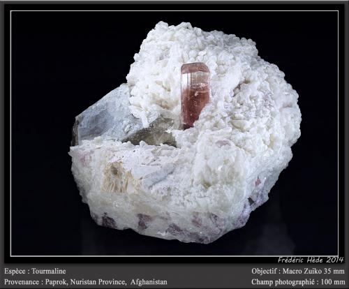 Elbaite (Tourmaline Group)<br />Paprok, Distrito Kamdesh, Provincia Nuristan, Afganistán<br />fov 100 mm<br /> (Author: ploum)