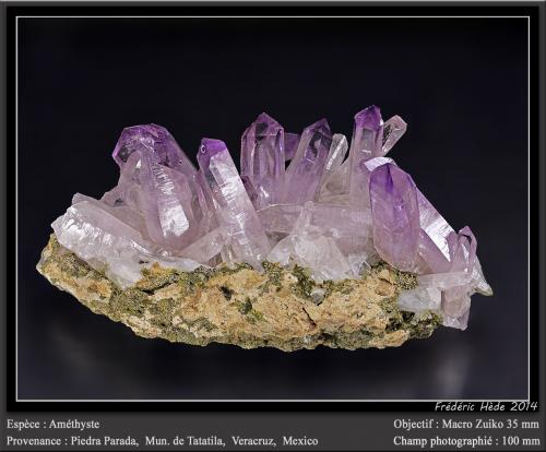 Quartz (var. amethyst)<br />Piedra Parada (Las Vigas), Municipio Tatatila, Veracruz (Veracruz de Ignacio de la Llave), México<br />fov 100 mm<br /> (Author: ploum)