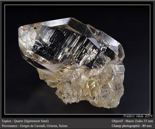 Quartz<br />Cavradi, Valle Curnera, Tujetsch (Tavetsch), Valle Vorderrhein, Grisones (Grischun; Graubünden), Suiza<br />fov 80 mm<br /> (Author: ploum)