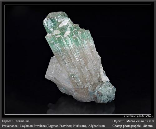 Elbaite (Tourmaline Group)<br />Laghman Province, Afghanistan<br />fov 80 mm<br /> (Author: ploum)