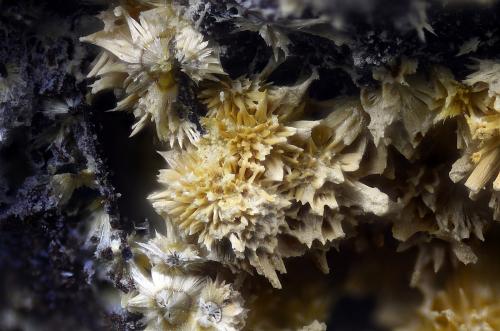 Cacoxenita<br />David Mine, Hirschberg, Warstein, Sauerland, North Rhine-Westphalia/Nordrhein-Westfalen, Germany<br />Campo de visión 2,2 mm.<br /> (Autor: Juan Miguel)