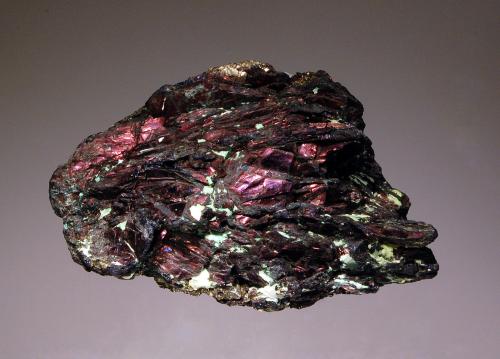 Covellite<br />East Colusa Mine, (Berkeley Pit), Butte, Butte District, Silver Bow County, Montana, USA<br />4.8 x 6.9 cm<br /> (Author: crosstimber)