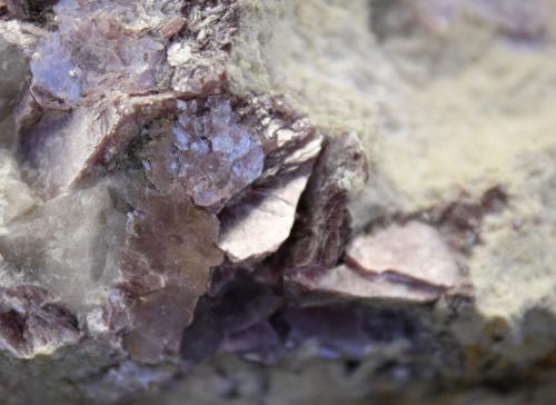 Lepidolita (Grupo Mica)<br />Alvarrões Mine (concession C-8), Seixo Amarelo-Gonçalo-Vela, Guarda, Guarda District, Centro Region, Portugal<br />15cm por 11cm<br /> (Autor: canada)