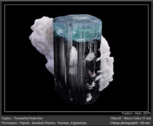 Elbaite var. indicolite (Tourmaline Group)<br />Paprok, Distrito Kamdesh, Provincia Nuristan, Afganistán<br />fov 60 mm<br /> (Author: ploum)