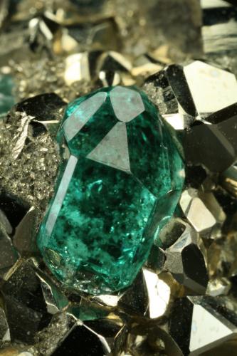 Beryl (variety emerald) and Pyrite<br />Chivor mining district, El Acuario Mine, Municipio Chivor, Eastern Emerald Belt, Boyacá Department, Colombia<br />Detail - xl length=6mm<br /> (Author: Fiebre Verde)