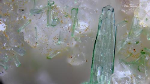 Olivenita<br />Clara Mine, Rankach Valley, Oberwolfach, Wolfach, Black Forest, Baden-Württemberg, Germany<br />Campo de visión 0.95 mm<br /> (Autor: Vinoterapia)