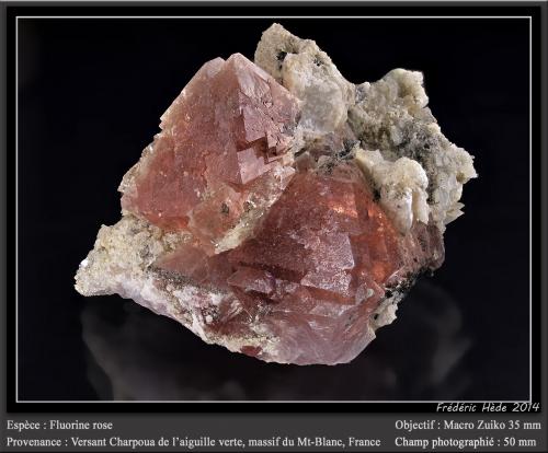 Fluorite<br />Aiguille Verte (La Charpoua side), Mont Blanc Massif, Chamonix, Haute-Savoie, Auvergne-Rhône-Alpes, France<br />fov 50 mm<br /> (Author: ploum)