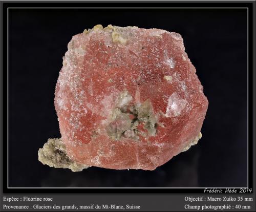 Fluorite<br />Glaciar Les Grands, Valle Le Trient, Wallis (Valais), Suiza<br />fov 40<br /> (Author: ploum)