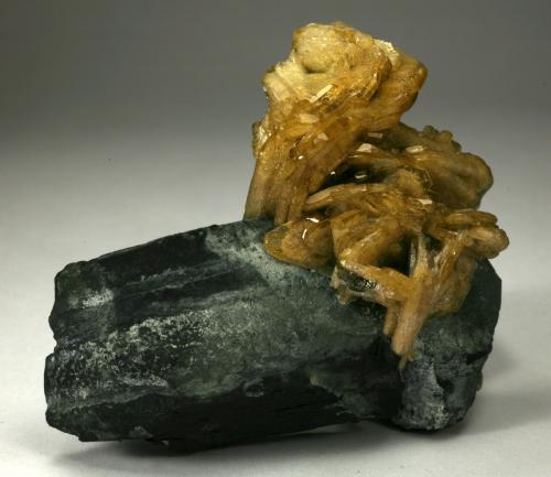 Barite<br />Muzo mining district, Western Emerald Belt, Boyacá Department, Colombia<br />6cm across<br /> (Author: Fiebre Verde)