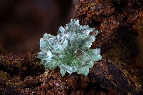 Austinita<br />Hilarion Mine, Hilarion area, Kamariza Mines, Agios Konstantinos, Lavrion Mining District, Attikí (Attica) Prefecture, Greece<br />Campo de visión 4,5 mm.<br /> (Autor: Juan Miguel)