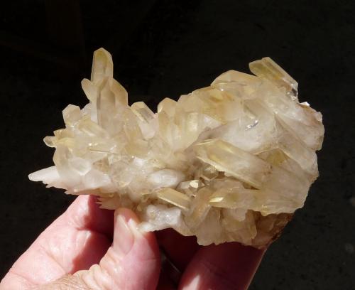 Quartz<br />Ceres, Warmbokkeveld Valley, Ceres, Valle Warmbokkeveld, Witzenberg, Cape Winelands, Provincia Occidental del Cabo, Sudáfrica<br />Hands for size.<br /> (Author: Pierre Joubert)