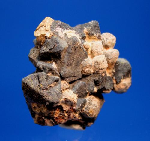 Anatase, Kimzeyite, Magnetite<br />Perovskite Hill, Magnet Cove, Hot Spring County, Arkansas, USA<br />4.0 x 3.5 x 2.0 cm<br /> (Author: Don Lum)