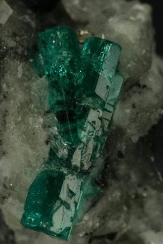 Beryl (variety emerald), Calcite, Pyrite, Quartz<br />La Pita mining district, Municipio Maripí, Western Emerald Belt, Boyacá Department, Colombia<br />60x35mm, main xl=16mm<br /> (Author: Fiebre Verde)