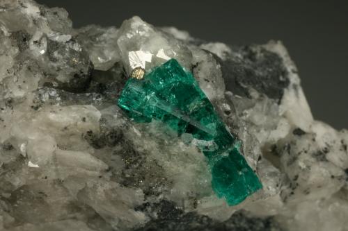 Beryl (variety emerald), Calcite, Pyrite, Quartz<br />La Pita mining district, Municipio Maripí, Western Emerald Belt, Boyacá Department, Colombia<br />60x35mm, main xl=16mm<br /> (Author: Fiebre Verde)