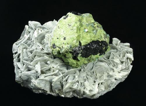 Mushistonite on Kesterite on Cassiterite<br />Mount Xuebaoding, Pingwu, Mianyang Prefecture, Sichuan Province, China<br />73 x 50 x 40 mm<br /> (Author: GneissWare)