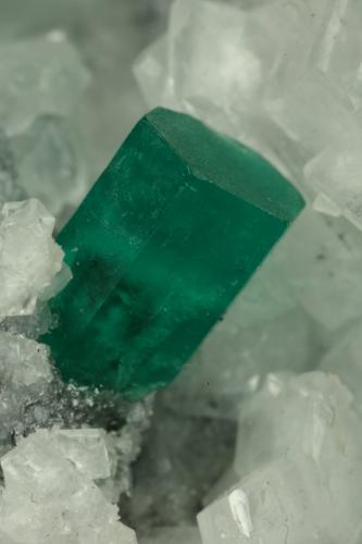 Beryl (variety emerald), Calcite, Parisite<br />Muzo mining district, Western Emerald Belt, Boyacá Department, Colombia<br />70x45x50mm - Detail<br /> (Author: Fiebre Verde)