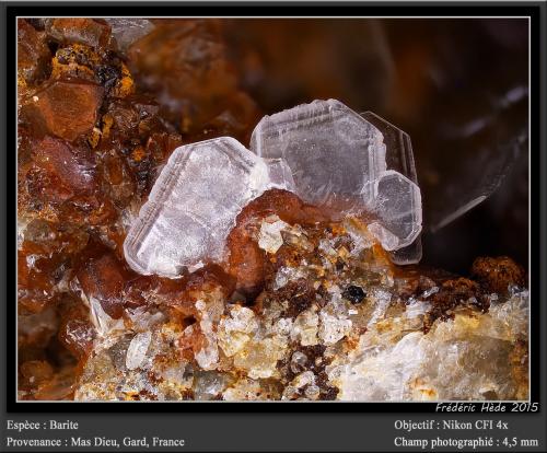 Barite<br />Mas Dieu, Mercoirol, Alès, Gard, Occitanie, France<br />fov 4.5 mm<br /> (Author: ploum)