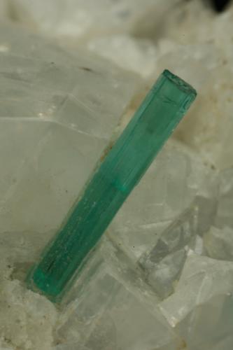 Beryl (variety emerald), Calcite, Pyrite<br />Chivor mining district, Municipio Chivor, Eastern Emerald Belt, Boyacá Department, Colombia<br />xl=10mm<br /> (Author: Fiebre Verde)