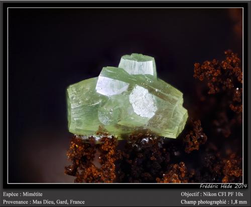 Pyromorphite<br />Mas Dieu, Mercoirol, Alès, Gard, Occitanie, Francia<br />fov 1.8 mm<br /> (Author: ploum)