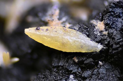 Wulfenita<br />Great Southern Mine, Wickenburg area, Red Picacho District, Yavapai County, Arizona, USA<br />Campo de visión 2 mm<br /> (Autor: Juan Miguel)