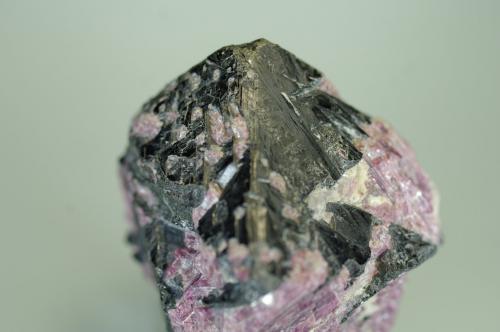 Casiterita con Elbaita (variedad rubelita)<br />Medina Municipality, Minas Gerais, Brazil<br />50x50x35 mm<br /> (Autor: Juan María Pérez)