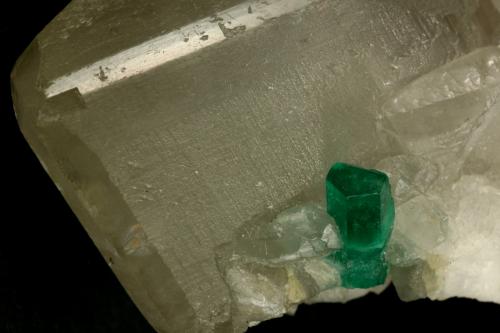 Beryl (variety emerald), Calcite<br />Coscuez mining district, Municipio San Pablo de Borbur, Western Emerald Belt, Boyacá Department, Colombia<br />xl=10mm<br /> (Author: Fiebre Verde)