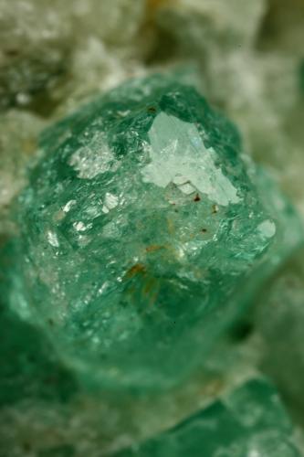 Beryl (variety emerald), Calcite<br />Chivor mining district, Municipio Chivor, Eastern Emerald Belt, Boyacá Department, Colombia<br />xl=10mm<br /> (Author: Fiebre Verde)