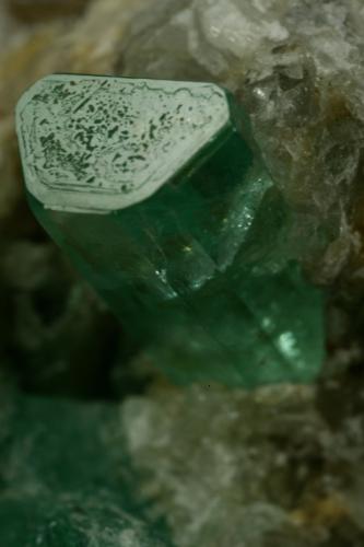 Beryl (variety emerald), Calcite<br />Chivor mining district, Municipio Chivor, Eastern Emerald Belt, Boyacá Department, Colombia<br />xl=10mm<br /> (Author: Fiebre Verde)