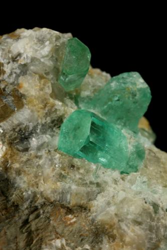 Beryl (variety emerald), Calcite<br />Chivor mining district, Municipio Chivor, Eastern Emerald Belt, Boyacá Department, Colombia<br />Crystals are about 1cm long<br /> (Author: Fiebre Verde)