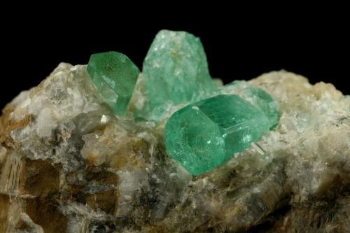 Beryl (variety emerald), Calcite<br />Chivor mining district, Municipio Chivor, Eastern Emerald Belt, Boyacá Department, Colombia<br />Crystals are about 1cm long<br /> (Author: Fiebre Verde)