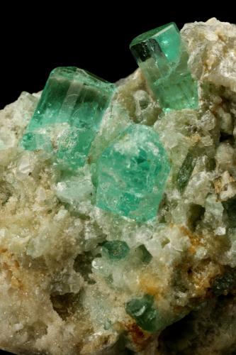 Beryl (variety emerald), Calcite<br />Chivor mining district, Municipio Chivor, Eastern Emerald Belt, Boyacá Department, Colombia<br />Crystals are about 1cm long<br /> (Author: Fiebre Verde)