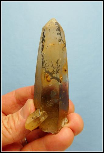 Quartz (variety smoky quartz) with schorl<br />Erongo Mountain, Usakos, Erongo Region, Namibia<br />81 x 25 x 25 mm<br /> (Author: Pierre Joubert)