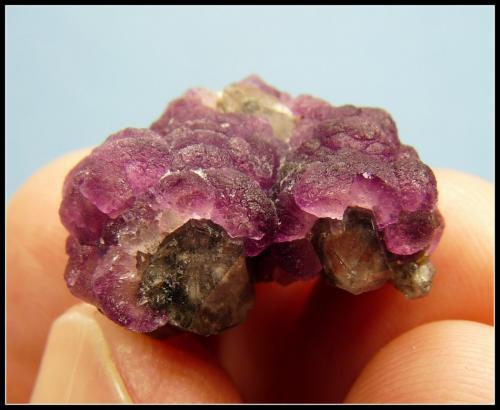 Fluorite on Quartz<br />Witbank, Orange river area, Kakamas, ZF Mgcawu District, Northern Cape Province, South Africa<br />24 x 22 x 13 mm<br /> (Author: Pierre Joubert)