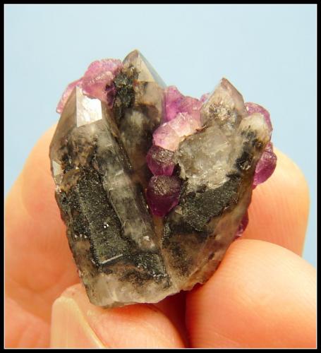 Fluorite on Quartz<br />Witbank, Orange river area, Kakamas, ZF Mgcawu District, Northern Cape Province, South Africa<br />24 x 22 x 13 mm<br /> (Author: Pierre Joubert)