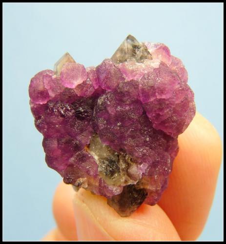 Fluorite on Quartz<br />Witbank, Orange river area, Kakamas, ZF Mgcawu District, Northern Cape Province, South Africa<br />24 x 22 x 13 mm<br /> (Author: Pierre Joubert)