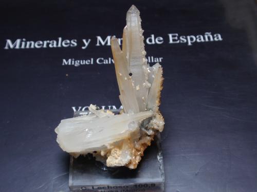 Cuarzo (variedad lechoso)<br />Mina Naica, Naica, Municipio Saucillo, Chihuahua, México<br />40x40 mm<br /> (Autor: Ignacio)