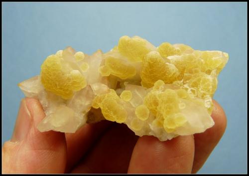 Fluorite on Quartz<br />Orange river pegmatites, Kakamas, ZF Mgcawu District, Northern Cape Province, South Africa<br />61 x 37 x 25 mm<br /> (Author: Pierre Joubert)