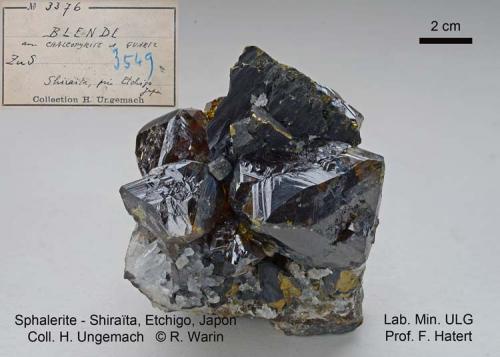 Sphalerite<br />Shiraita Mine, Uonuma, Niigata Prefecture, Chubu Region, Honshu Island, Japan<br />65 mm wide<br /> (Author: Roger Warin)