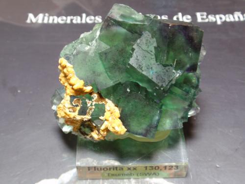 Fluorita<br />Mina Okorusu, Distrito Otjiwarongo, Región Otjozondjupa, Namibia<br />50x50 mm<br /> (Autor: Ignacio)