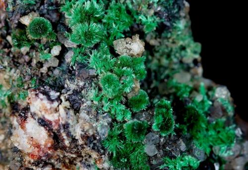 Malaquita<br />Collado de la Plata Mines, Collado de la Plata, Albarracín, Comarca Sierra de Albarracín, Teruel, Aragon, Spain<br />Total de la pieza 4x3cm  Encuadre de foto 22mm<br /> (Autor: Ángel Rodríguez Benavent)
