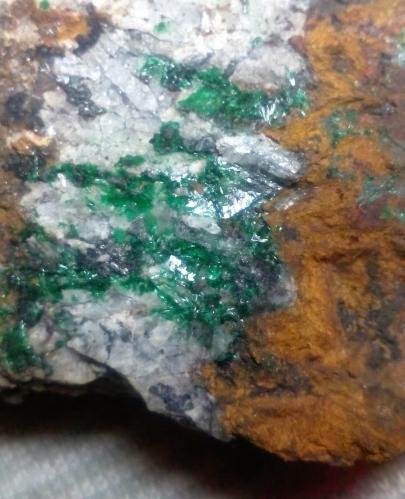 Malaquita?<br />Collado de la Plata Mines, Collado de la Plata, Albarracín, Comarca Sierra de Albarracín, Teruel, Aragon, Spain<br />3''4 cm. encuadre; cristales de unos 5 mm.<br /> (Autor: DPC)