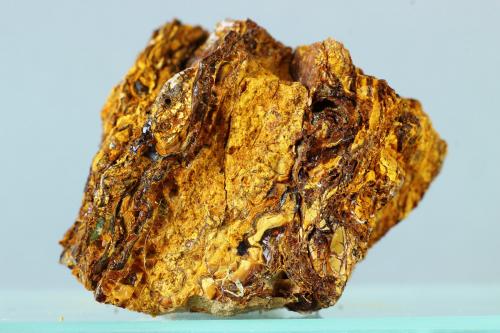 Alofana<br />Barcelona, Catalonia / Catalunya, Spain<br />31x30 mm<br /> (Autor: Juan Espino)