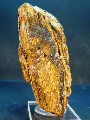 Alofana<br />Sot de les Mines, Santa Creu dOlorda, Barcelona city, Collserola Mountains, Comarca Barcelonès, Barcelona, Catalonia / Catalunya, Spain<br />4,5 x 7,5 x 3 cm.<br /> (Autor: Felipe Abolafia)