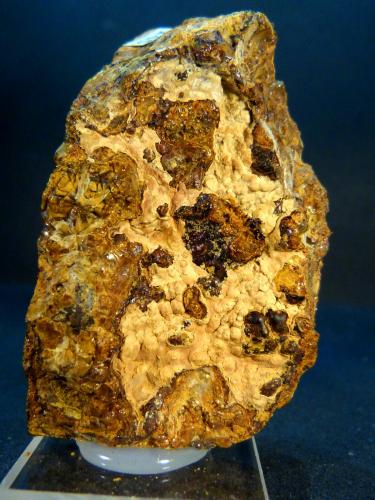 Alofana<br />Sot de les Mines, Santa Creu dOlorda, Barcelona city, Collserola Mountains, Comarca Barcelonès, Barcelona, Catalonia / Catalunya, Spain<br />4,5 x 7,5 x 3 cm.<br /> (Autor: Felipe Abolafia)