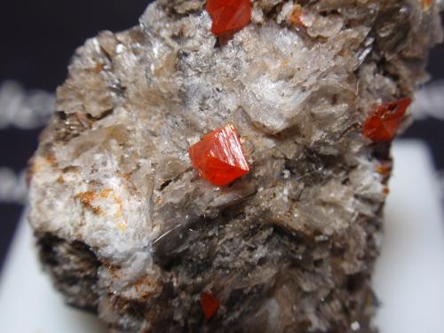 Wulfenita<br />Mina Red Cloud, Montes Trigo, Distrito Silver, Condado La Paz, Arizona, USA<br />25x25 mm<br /> (Autor: Ignacio)