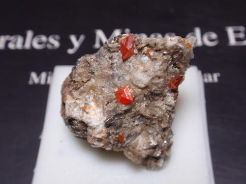 Wulfenita<br />Mina Red Cloud, Montes Trigo, Distrito Silver, Condado La Paz, Arizona, USA<br />25x25 mm<br /> (Autor: Ignacio)